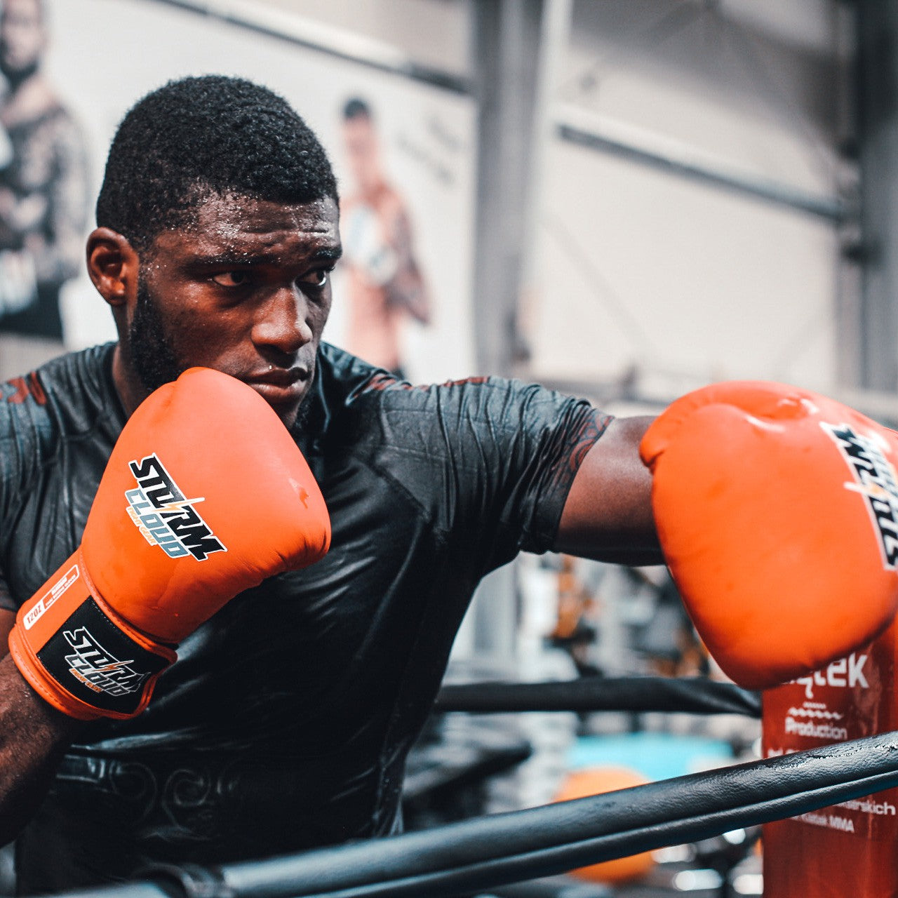 StormCloud Rękawice Muay Thai ze skóry naturalnej Blizzard Classic