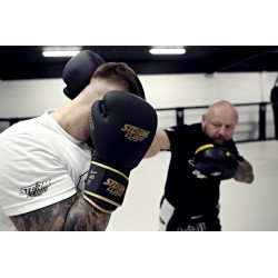StormCloud Rękawice Bokserskie Boxing Pro Czarne/Złote - sklep MMAniak.pl