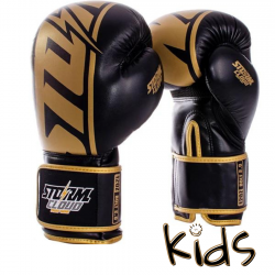 StormCloud Rękawice bokserskie dla dzieci Bolt 2.0 czarno-złote 6oz