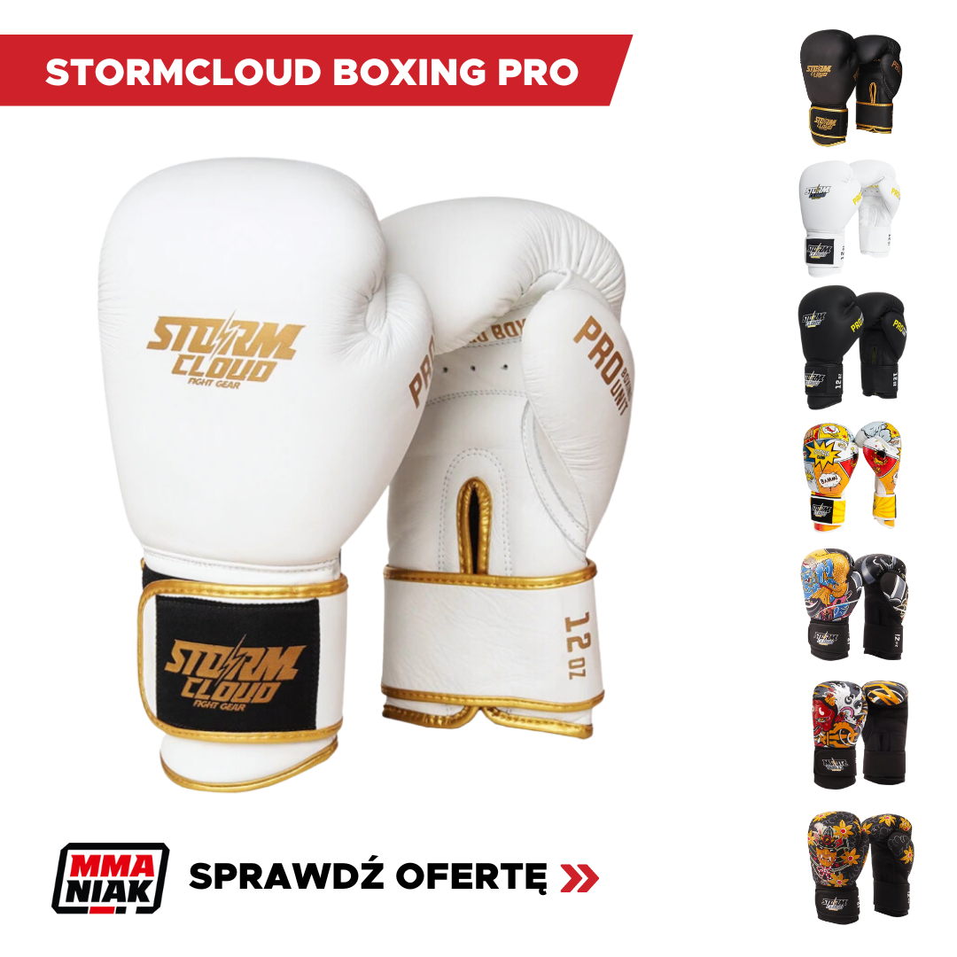 Rękawice bokserskie StormCloud Boxing Pro