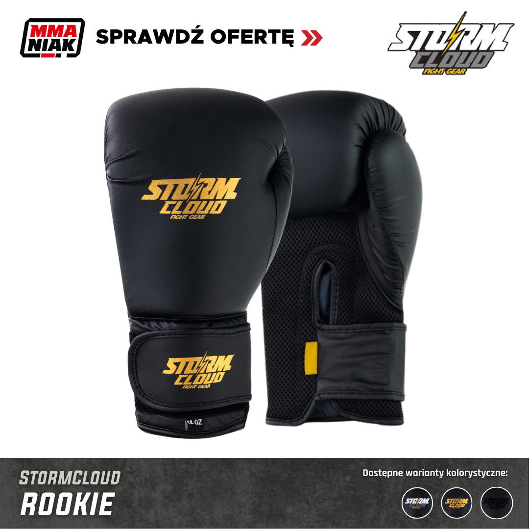 StormCloud Rękawice Bokserskie Rookie