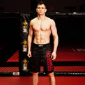 Extreme Hobby Spodenki MMA Black Armour