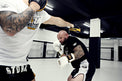 StormCloud Rękawice Bokserskie ze skóry naturalnej Boxing Pro Białe/Złote