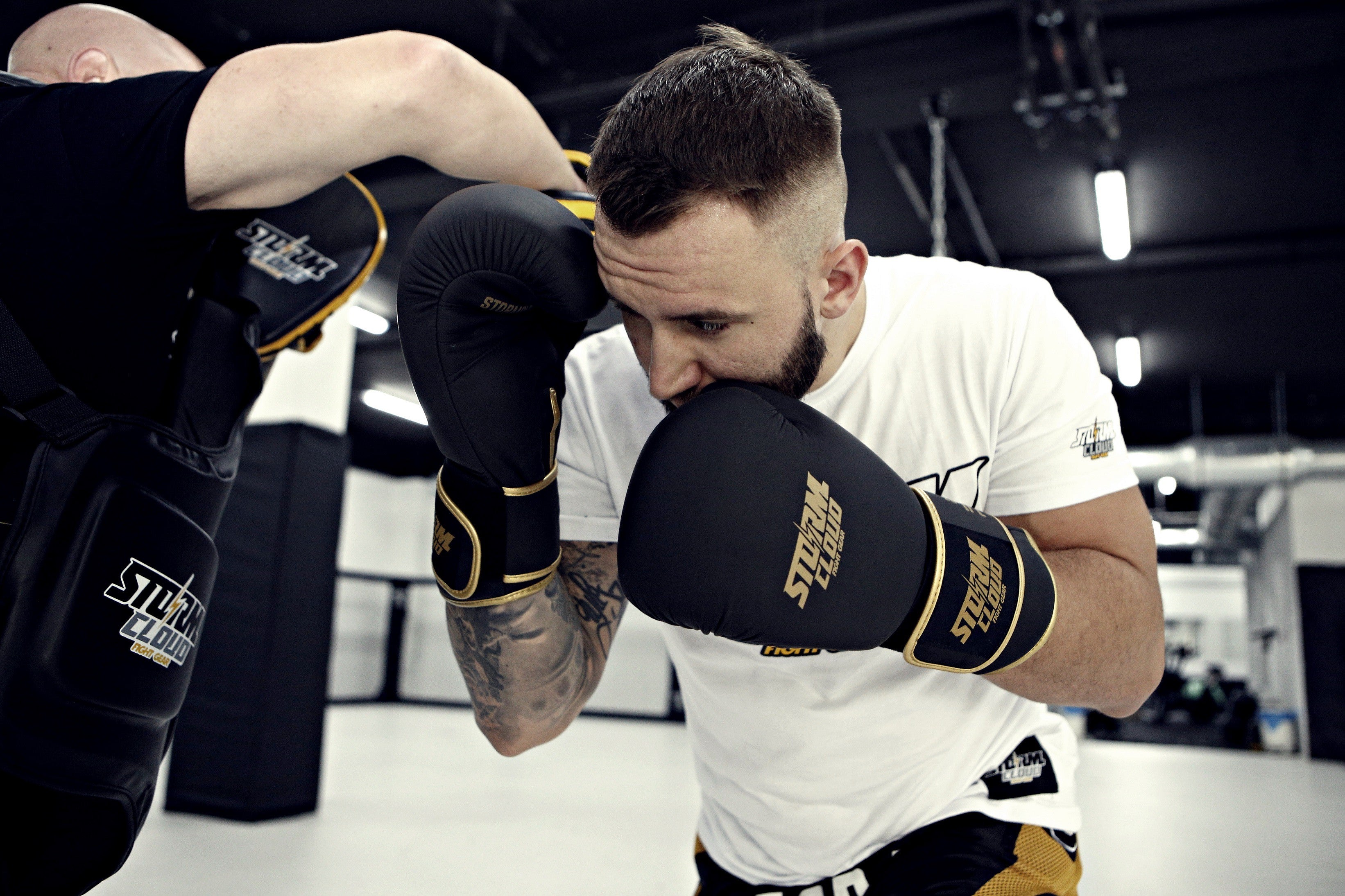 StormCloud Rękawice Bokserskie ze skóry naturalnej Boxing Pro Czarne/Złote