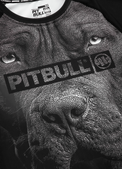 Pitbull Rashguard Born In 1989 Krótki Rękaw