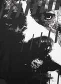 Pitbull Rashguard Męski Street Dog Krótki Rękaw