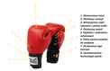 Everlast Rękawice bokserskie Pro Style 2 Czerwone