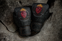 Fairtex Rękawice Bokserskie ze skóry naturalnej BGV "Heart of Warrior"