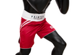 Fairtex Spodenki Bokserskie BT2008