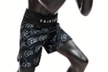 Fairtex Spodenki Bokserskie BT2006