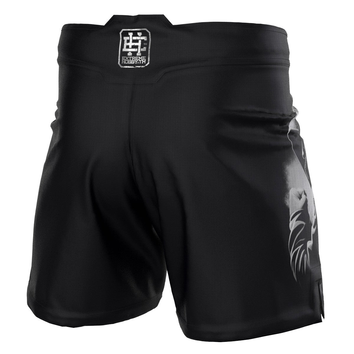 Extreme Hobby Spodenki MMA Athletic HOOLS czarne