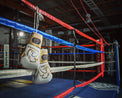 Rival Rękawice bokserskie sparingowe RS100 Professional Białe