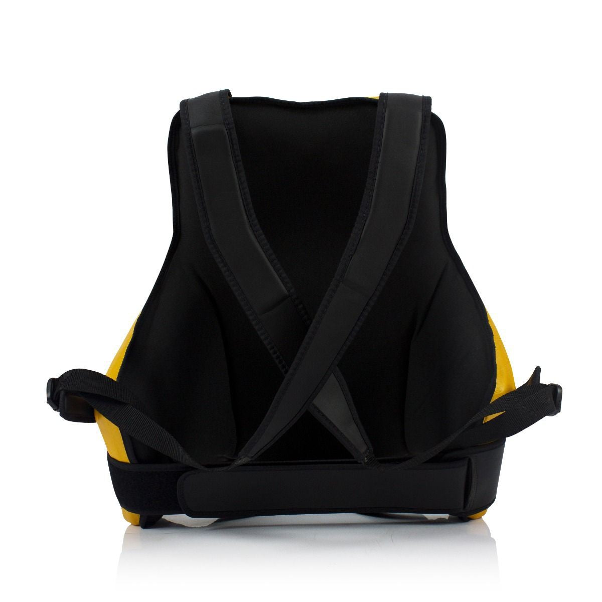 Fairtex Pas Trenera TV2 Czarny/złoty