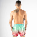 8 Weapons Spodenki Muay Thai Vivo Mesosphere