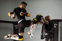 StormCloud Rękawice bokserskie ze skóry naturalnej Boxing Pro Daisho ONI