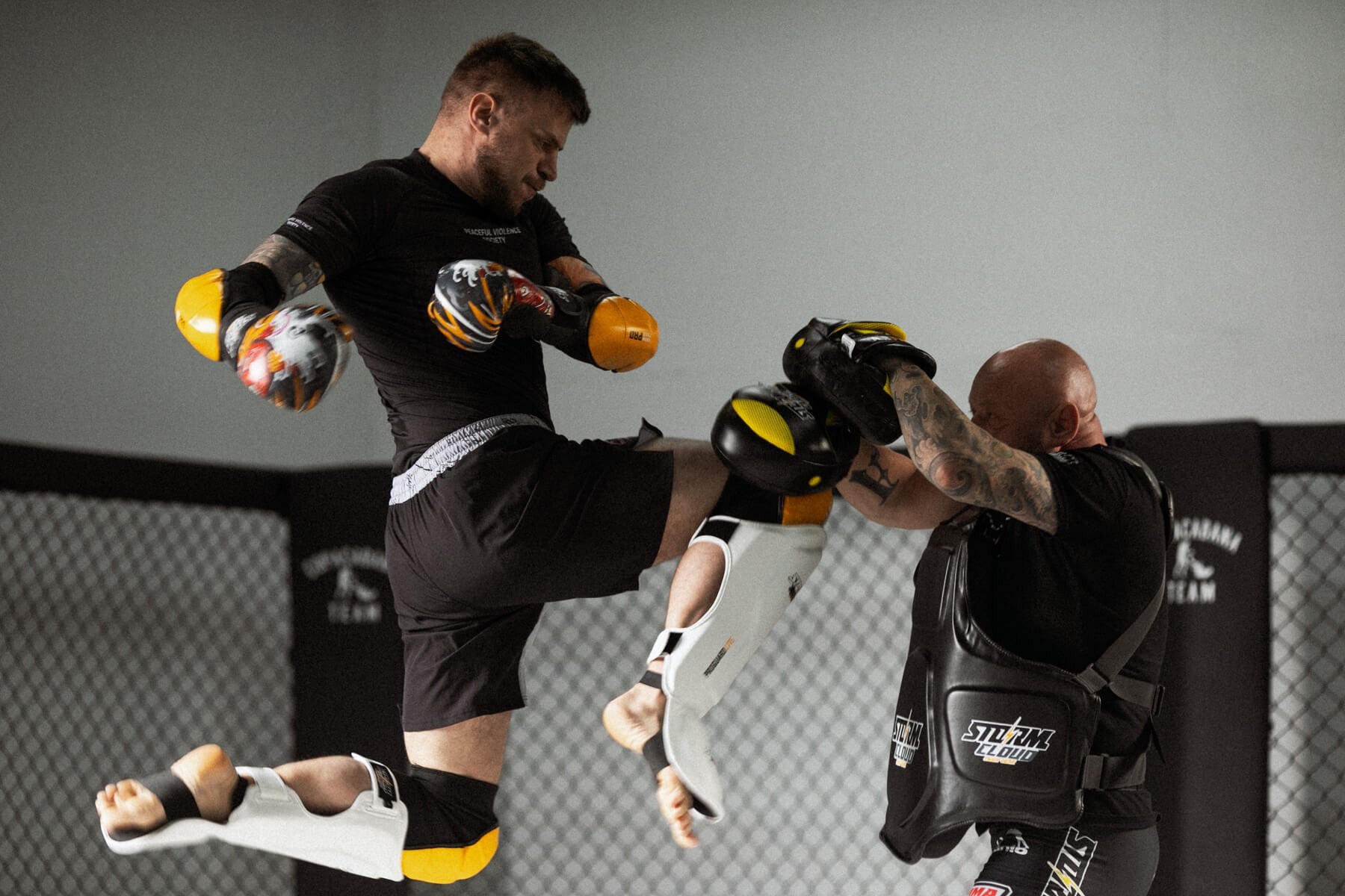 StormCloud Rękawice bokserskie ze skóry naturalnej Boxing Pro Daisho ONI